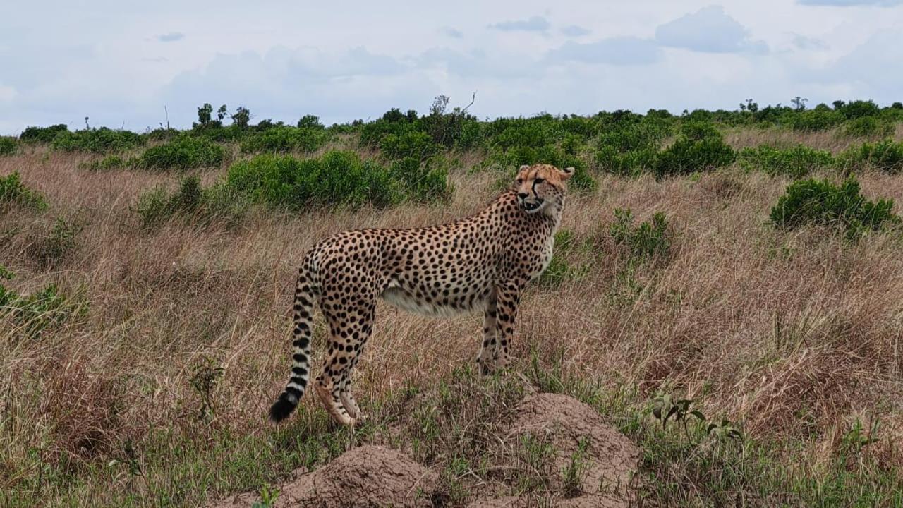 Osikinai Mara Guest House Sekenani Buitenkant foto